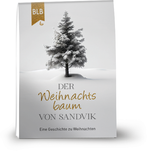 Der Weihnachtsbaum von Sandvik