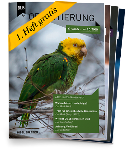Orientierung Großdruck-EDITION Abo auf Probe