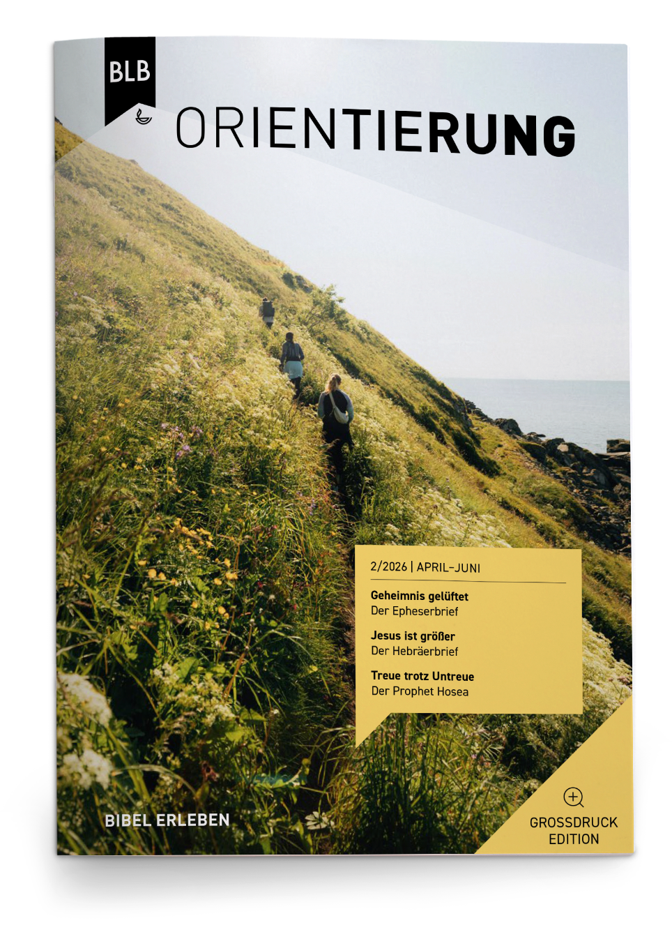 Orientierung Großdruck-EDITION 2/2026 Einzelheft