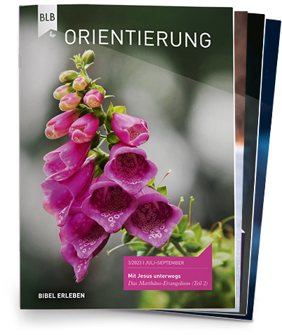 Orientierung Abo