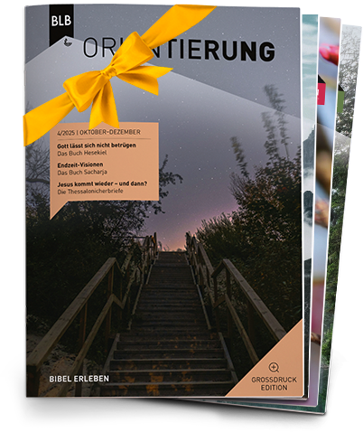Orientierung Großdruck-EDITION Geschenk-Abo Orientierung Großdruck-EDITION Geschenk-Abo