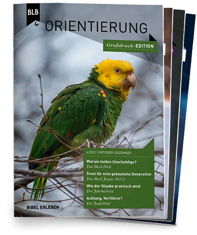 Orientierung Großdruck-EDITION Abo