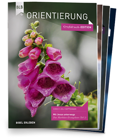 Orientierung Großdruck-EDITION Abo