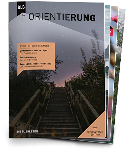 Orientierung Großdruck-EDITION Abo Orientierung Großdruck-EDITION Abo