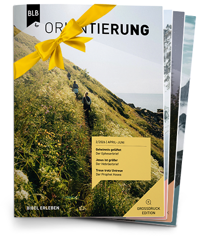 Orientierung Großdruck-EDITION Geschenk-Abo
