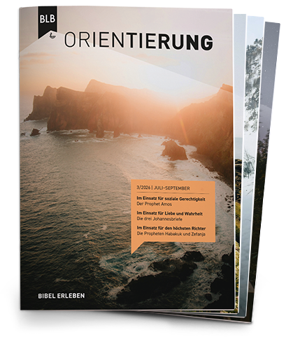 Orientierung Abo