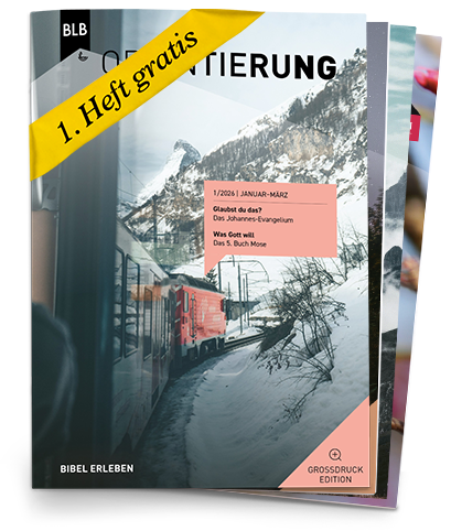 Orientierung Großdruck-EDITION Abo auf Probe