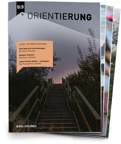 Orientierung Abo Orientierung Abo