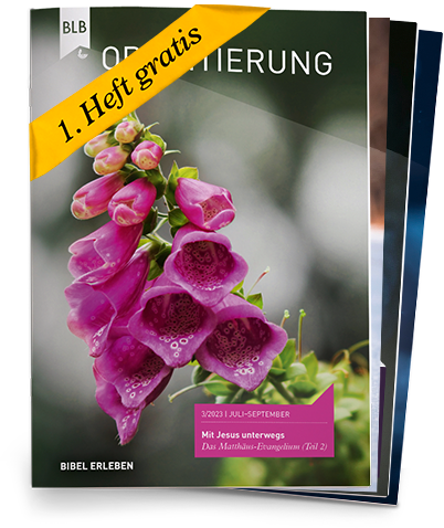 Orientierung Abo auf Probe