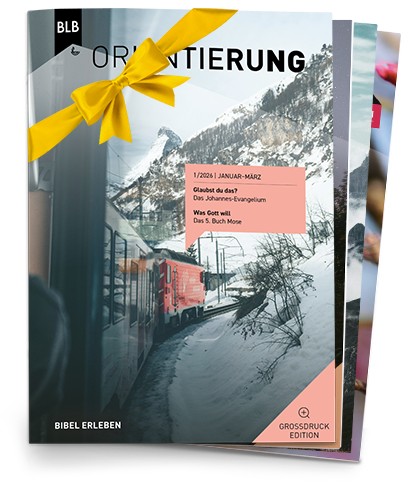 Orientierung Großdruck-EDITION Geschenk-Abo