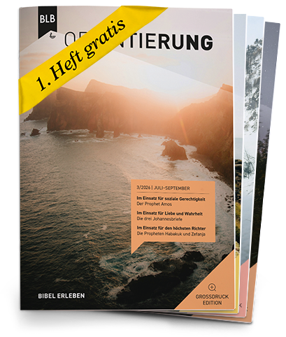 Orientierung Großdruck-EDITION Abo auf Probe